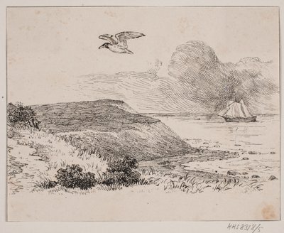 De meeuw door Johan Adolph Kittendorff