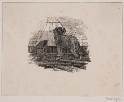 De poedel door Johan Adolph Kittendorff