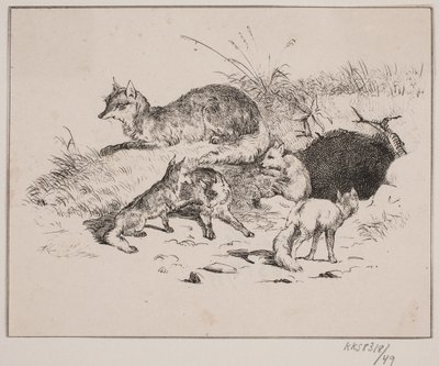 De Vos door Johan Adolph Kittendorff
