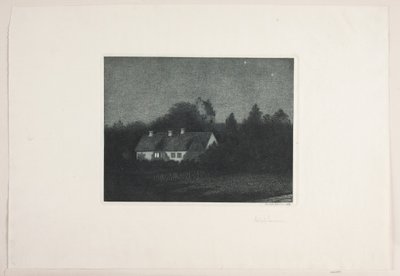 Maanlichtavond in het dorp Borup door Adolph Larsen
