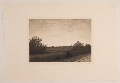 Zomeravond bij Rødovre door Adolph Larsen