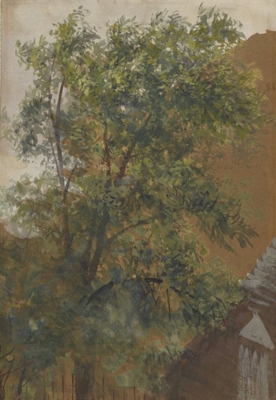 Uitzicht vanuit het raam van zijn atelier in de Marienstraße 22 door Adolph Menzel