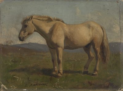  door Adolph Tidemand