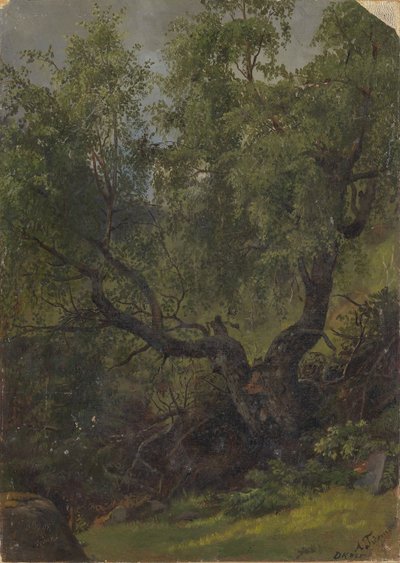  door Adolph Tidemand