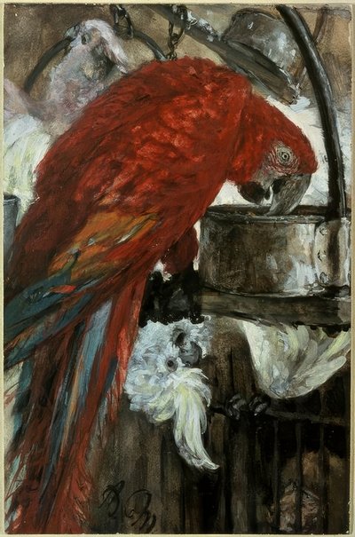 Ara en kaketoe door Adolph Menzel