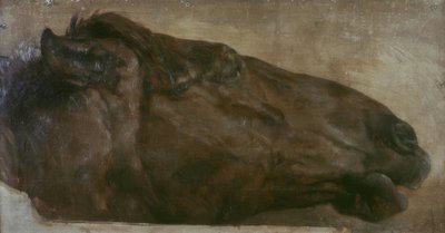 Paardenstudie. Hoofd in zijaanzicht naar rechts door Adolph Menzel