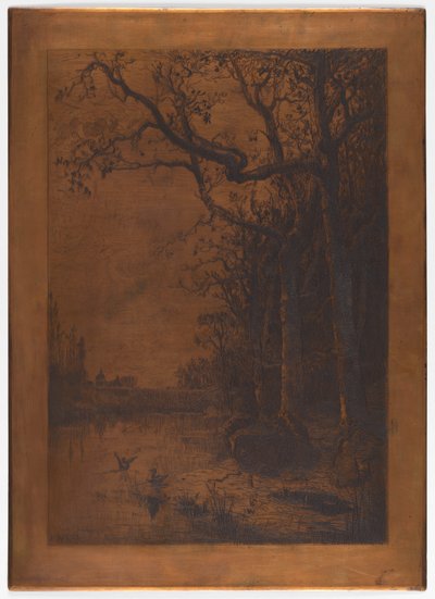 Geëtste koperplaat "Landschap met Eenden" door Adolphe Appian door Adolphe Appian
