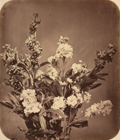 Boeket door Adolphe Braun