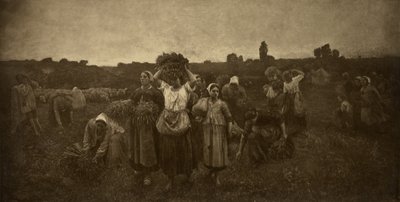 De sprokkelaars inschakelen door Adolphe Braun