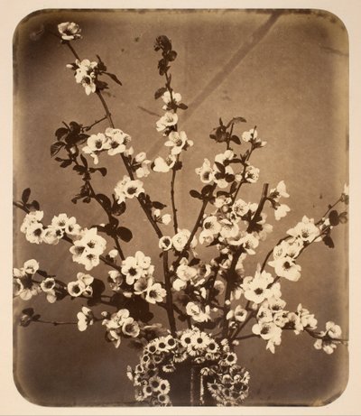 Bloemstilleven door Adolphe Braun