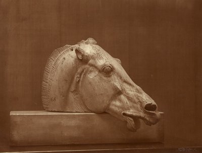[Paardenkop uit het fronton van het Parthenon, British Museum] door Adolphe Braun