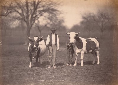 Landschap door Adolphe Braun