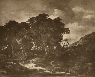 Landschapsschilderij van Ruysdael door Adolphe Braun