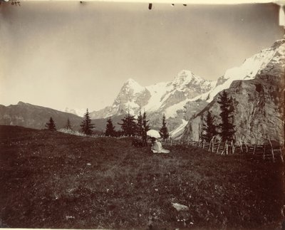 Landschap, Zwitserland, ca. 1860 door Adolphe Braun