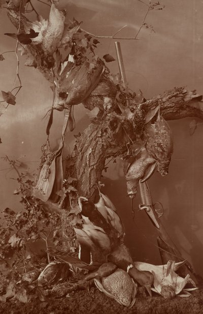 [Still Life: Dead Game]. door Adolphe Braun