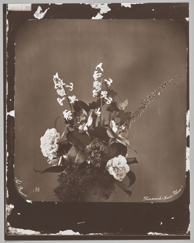 Zonder titel (bloemstuk) door Adolphe Braun