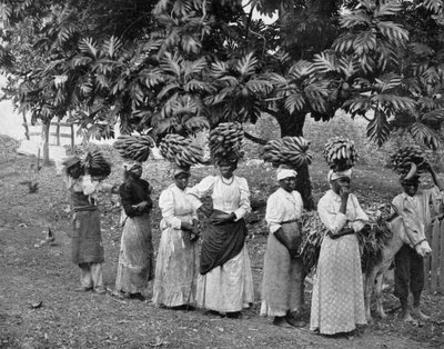 Bananendragers, Jamaica, ca. 1905 door Adolphe Duperly and Son