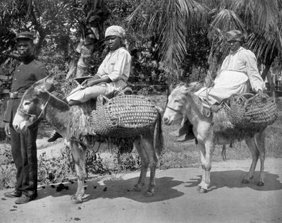 Op weg naar de gevangenis, Jamaica, ca. 1905 door Adolphe Duperly and Son