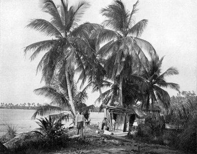 Op weg naar Blue Hole, Port Antonio, Jamaica door Adolphe Duperly and Son