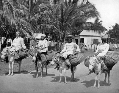 Op weg naar huis van de markt, Jamaica, ca. 1905 door Adolphe Duperly and Son