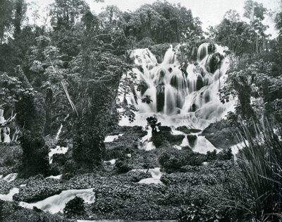 Roaring River Falls, Jamaica, ca. 1905 door Adolphe Duperly and Son