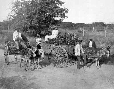 Houten karren, Jamaica, c1905 door Adolphe Duperly and Son