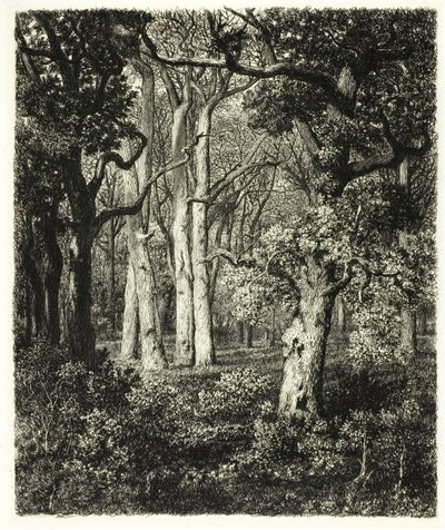 Oude eiken bij Bas Bréau door Adolphe Martial Potemont