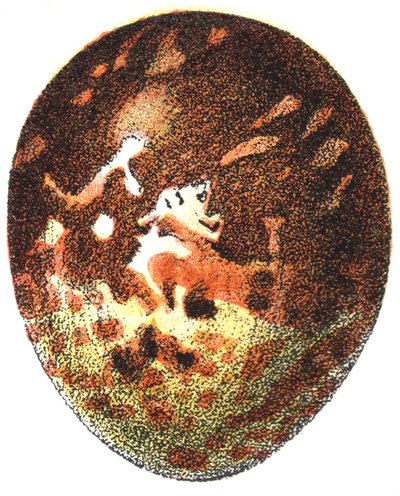 Ei van een Wespendief (Pernis apivorus), 1923 door Adolphe Philippe Millot