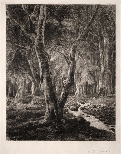 Bos van Pierrefonds door Adolphe Théodore Jules Martial Potémont