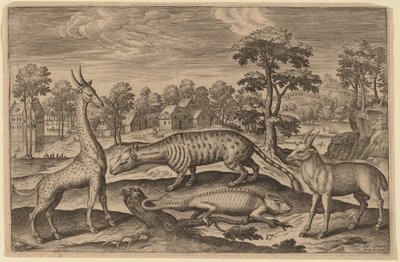 Een giraffe, een kameleon, een civetkat en een antilope door Adriaen Collaert