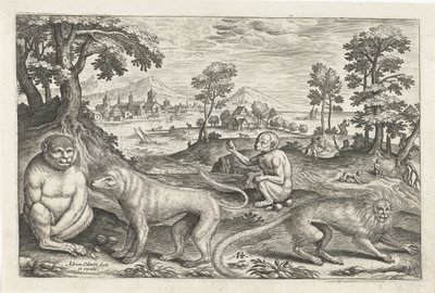 Apen door Adriaen Collaert
