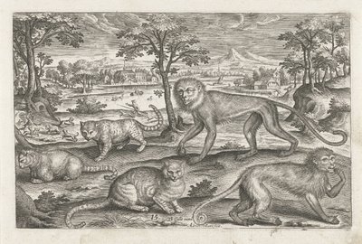 Apen en katten door Adriaen Collaert