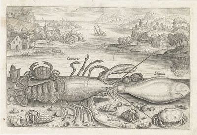 Een vis en enkele schaaldieren op het strand door Adriaen Collaert