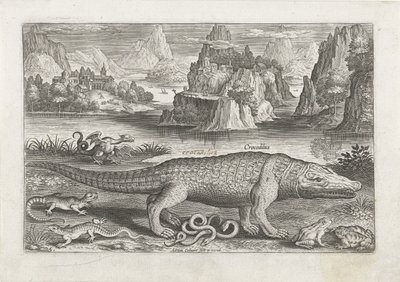 Enkele reptielen en amfibieën op een oever door Adriaen Collaert