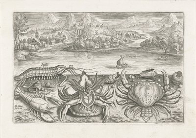 Enkele schaaldieren op het strand door Adriaen Collaert