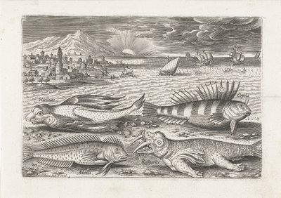 Enkele vissen en een walrus op het strand door Adriaen Collaert
