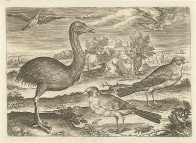 Enkele vogels in een landschap door Adriaen Collaert