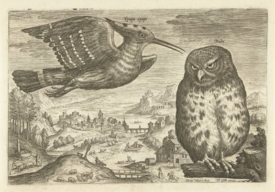 Enkele vogels in een landschap door Adriaen Collaert