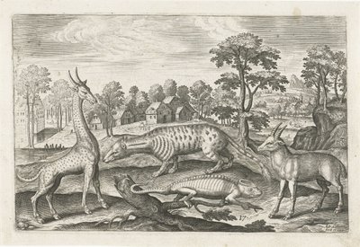 Exotische dieren door Adriaen Collaert