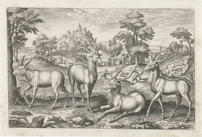 Herten door Adriaen Collaert