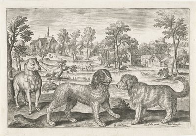 Honden door Adriaen Collaert