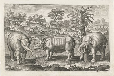 Olifanten en neushoorn door Adriaen Collaert