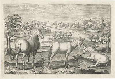 Paard en ezels door Adriaen Collaert