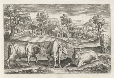 Runderen door Adriaen Collaert