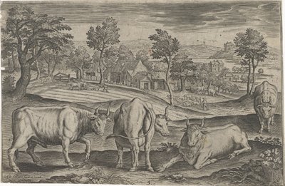 Runderen door Adriaen Collaert