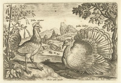 Twee hoenderen in een landschap door Adriaen Collaert