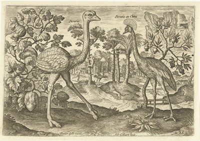 Twee loopvogels in een landschap door Adriaen Collaert