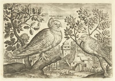 Twee vogels in een landschap door Adriaen Collaert