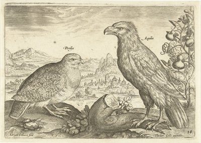 Twee vogels in een landschap door Adriaen Collaert