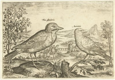 Twee vogels in een landschap door Adriaen Collaert